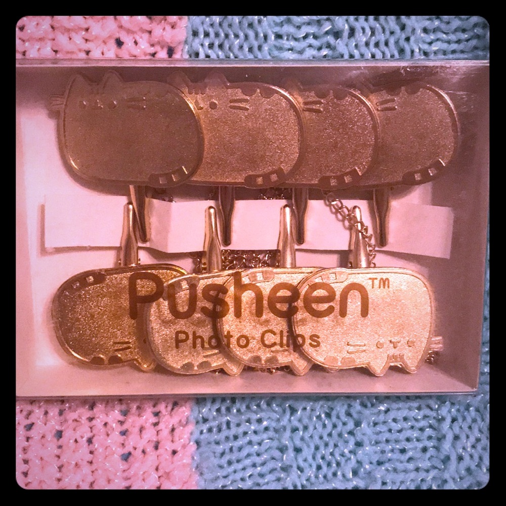 PUSHEEN BOX SPRING 2018 PHOTO CLIPS